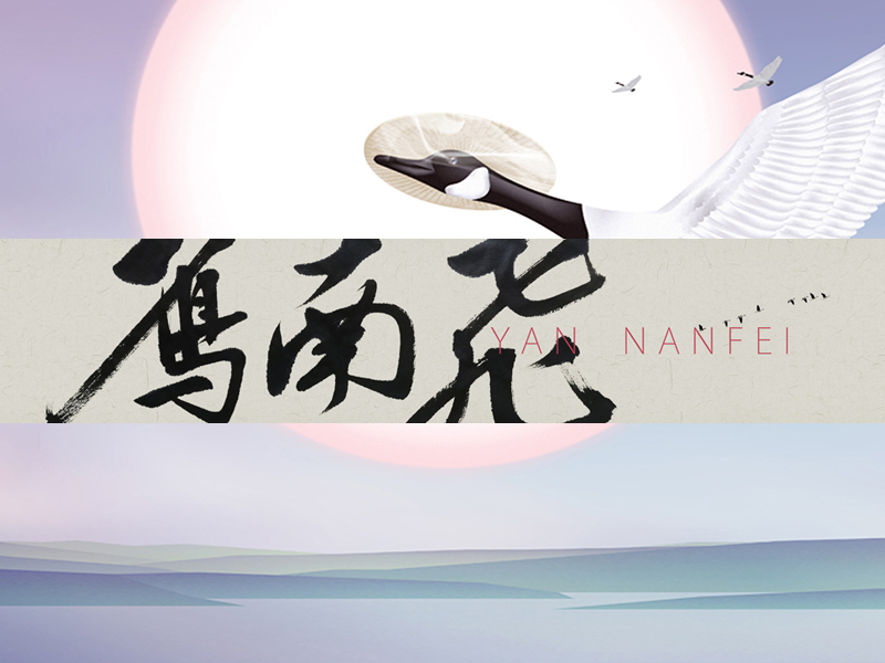 雁南飞项目封面